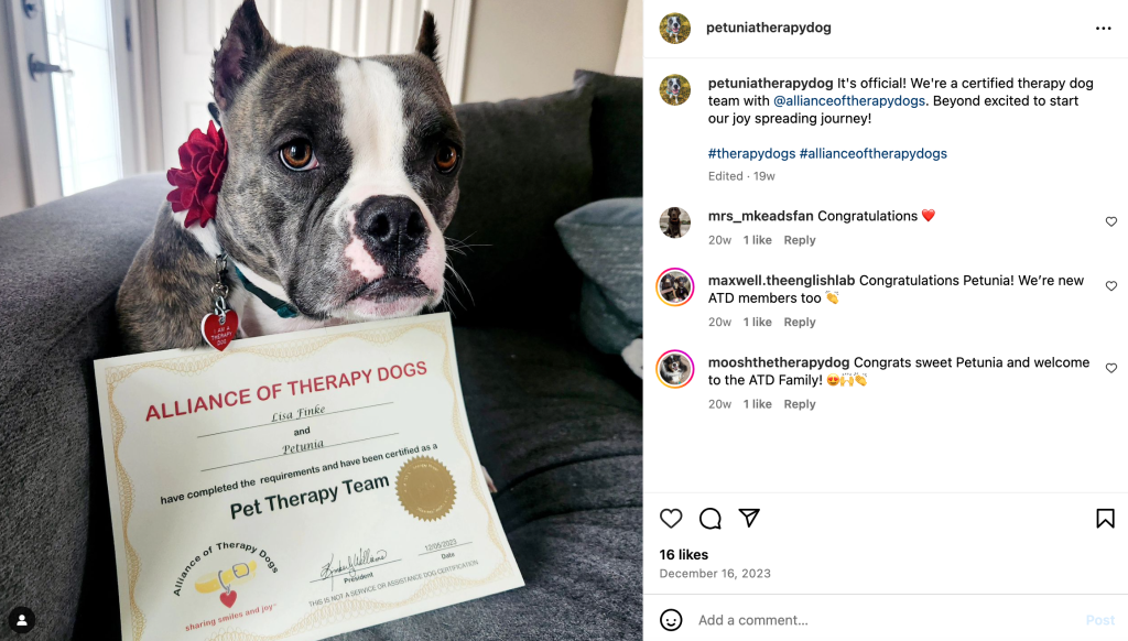 Central Bark Franchise Petunia Therapy dog